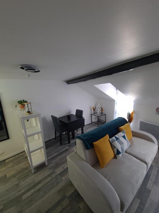 Un Appartement Qui A Du Chien Epernay Luaran gambar