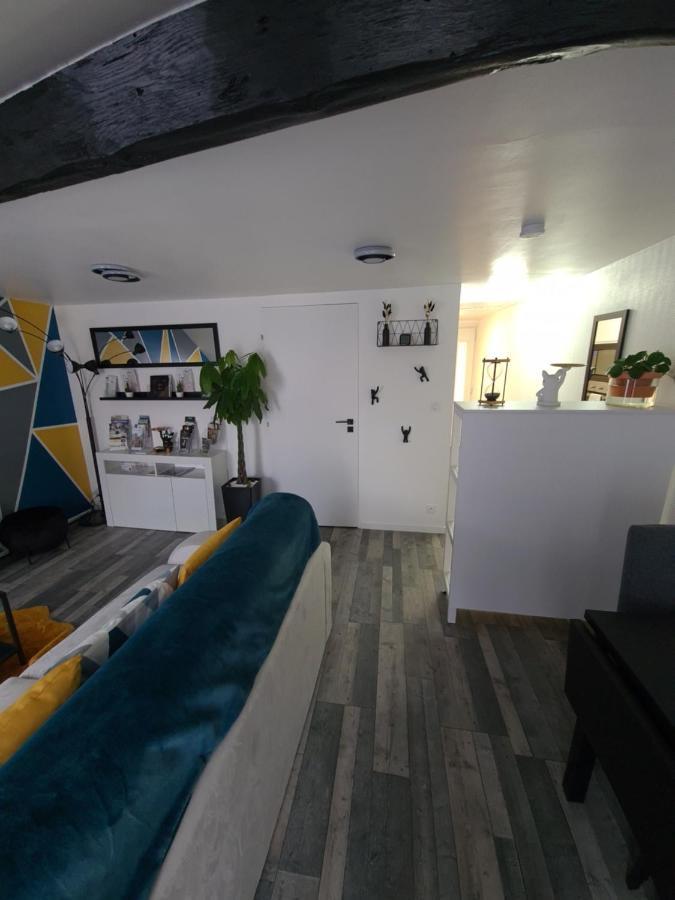 Un Appartement Qui A Du Chien Epernay Luaran gambar