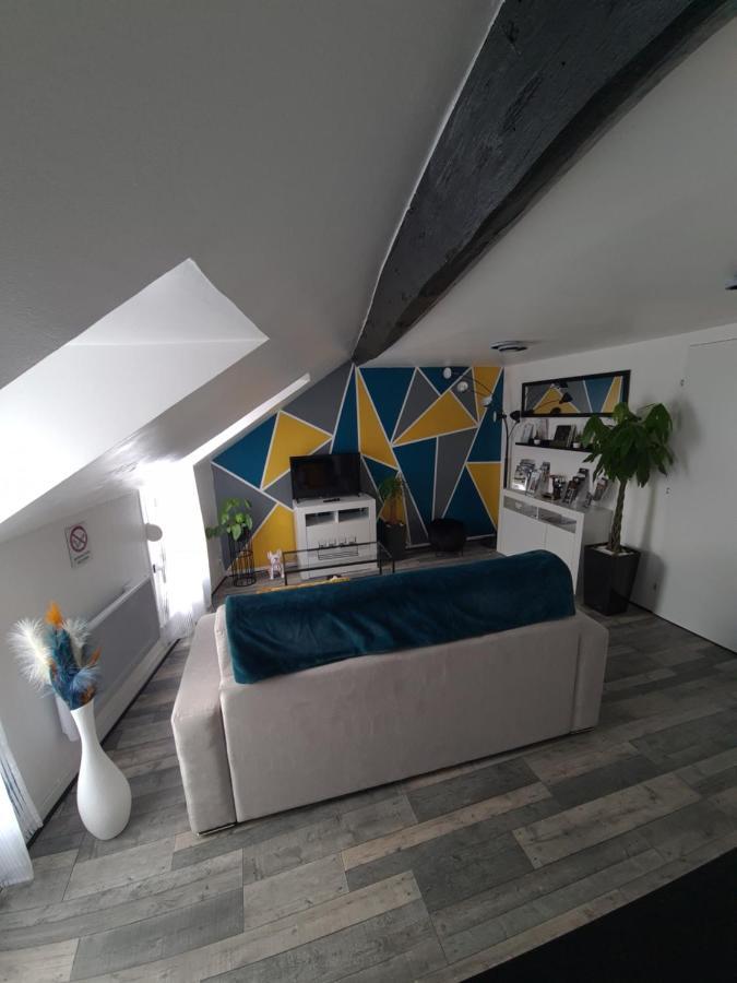 Un Appartement Qui A Du Chien Epernay Luaran gambar